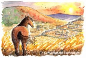 松本市岡田　山と馬プロジェクト　馬搬　里山　mountain & horse project illustration by Kuriya Satoko