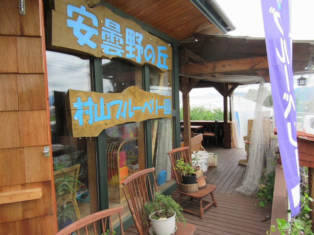 安曇野の丘　村山ブルーベリー園