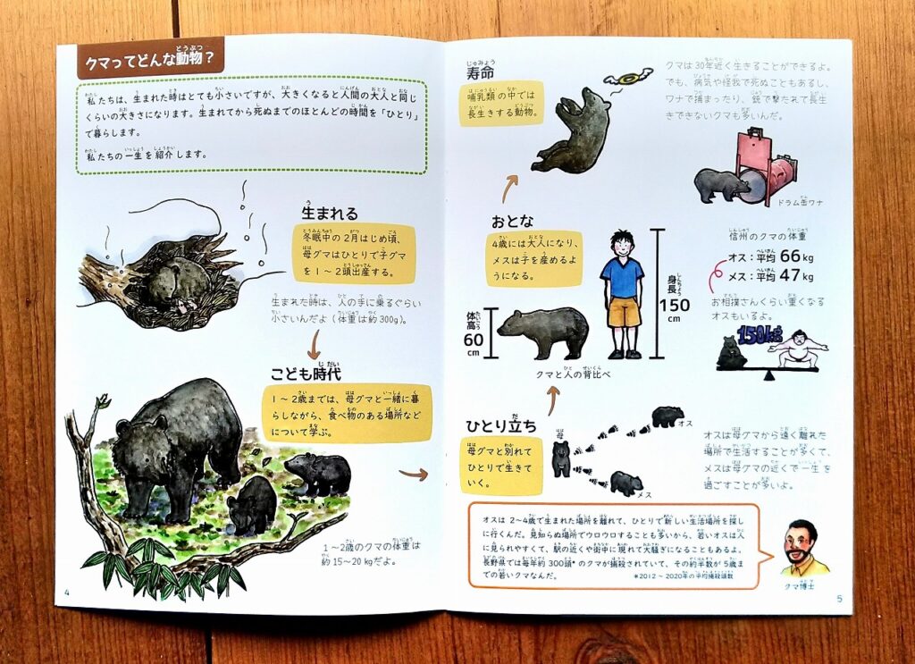 信州ツキノワグマ研究会　ツキノワグマハンドブック イラスト　デザイン　栗谷さと子　Kuriya Satoko Bear Booklet illustration design