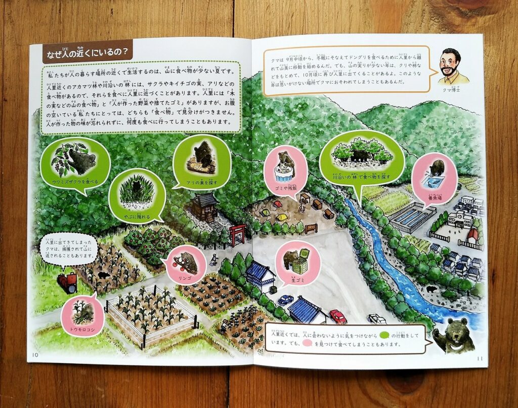 信州ツキノワグマ研究会　ツキノワグマハンドブック イラスト　デザイン　栗谷さと子　Kuriya Satoko Bear Booklet illustration design