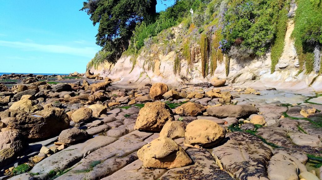 Shag Point Boulders, New Zealand