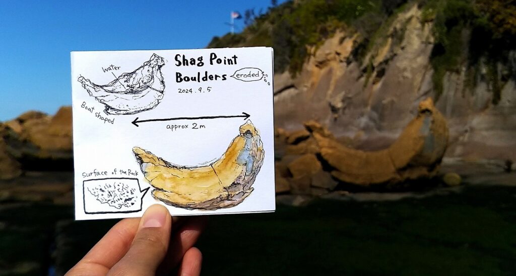 Shag Point Boulders, New Zealand
Satoko Kuriya sketch
栗谷さと子　スケッチ