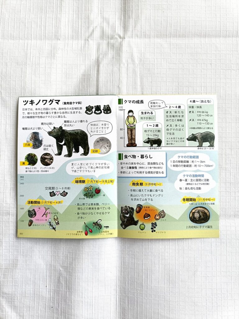 ツキノワグマ対策リーフレット「北アルプスにはツキノワグマが暮らしています」。ツキノワグマの生態についてイラスト入りで解説しているページ。