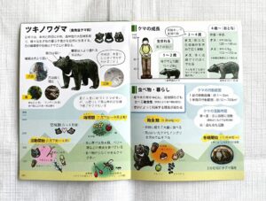 ツキノワグマ対策リーフレット「北アルプスにはツキノワグマが暮らしています」。ツキノワグマの生態についてイラスト入りで解説しているページ。
